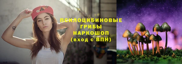 шишки Армянск
