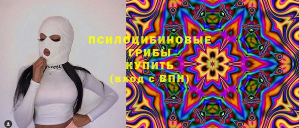 шишки Армянск