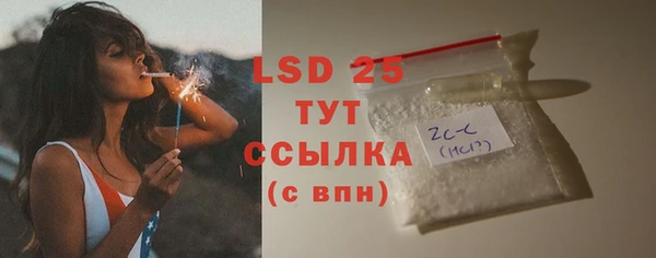 шишки Армянск