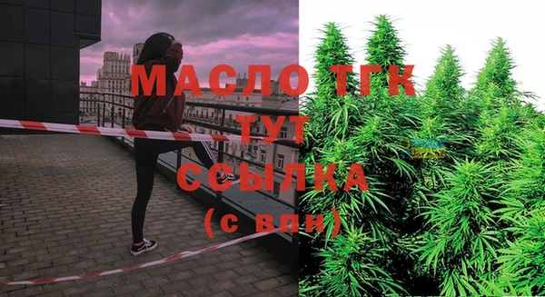шишки Армянск